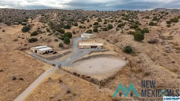 45 Saddle Rock Canyon Road, Silver City, NM 88061