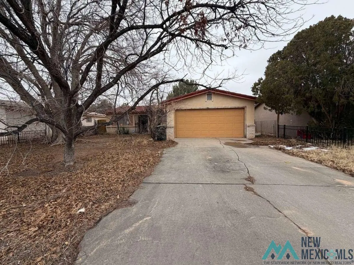 319 Sunnyview Street, Carlsbad, NM 88220 - #1