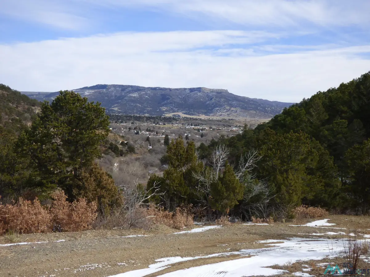 450 Francis Ave. Avenue, Raton, NM  - #1