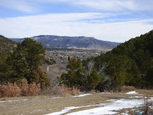 450 Francis Ave. Avenue, Raton, NM 