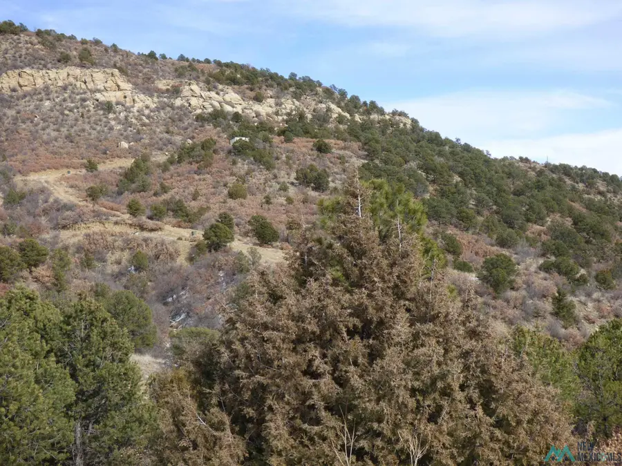 450 Francis Ave. Avenue, Raton, NM  - #2