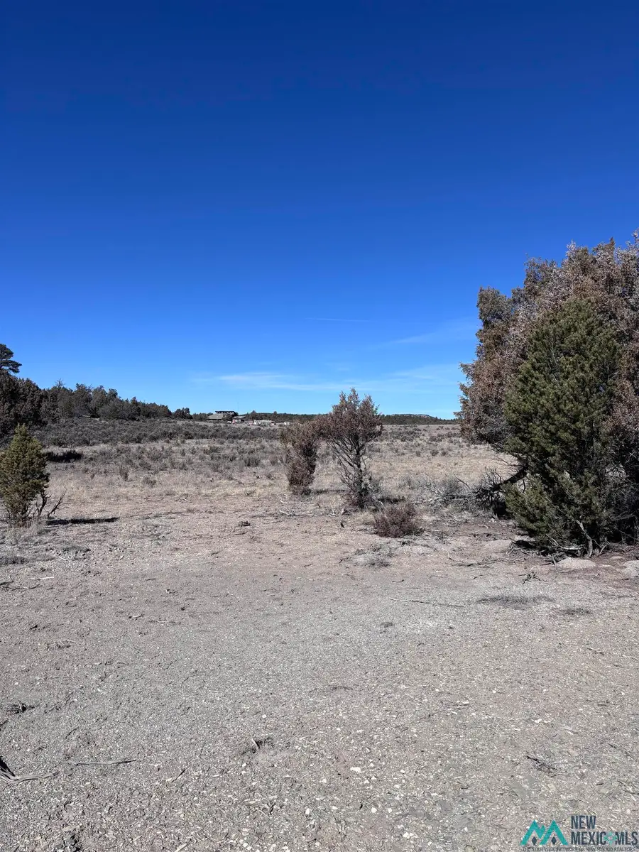 TBD Lot 96 Unit 6, Tierra Amarilla, NM 87575 - #3