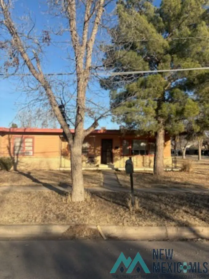 900 N Richard Street, Carlsbad, NM 88220 - #2