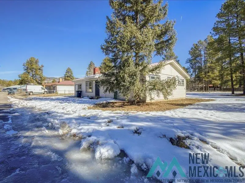 698 Cedar Avenue, Chama, NM 87520 - #3