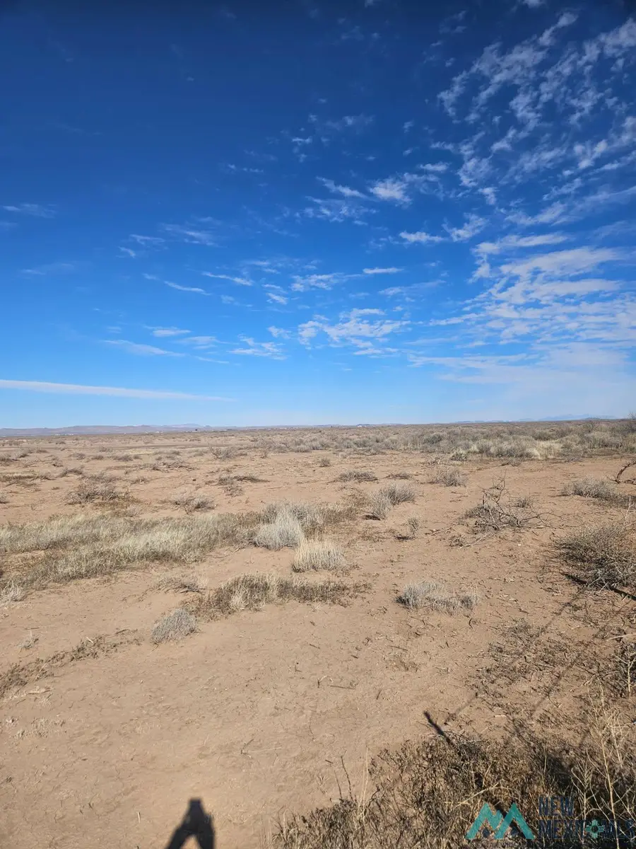 XXX Palomas Rd Se, Deming, NM 88030 - #3