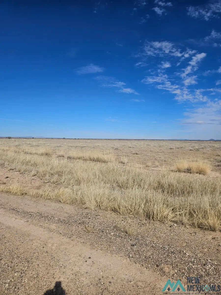 XXX Camino Seis Se, Deming, NM 88030 - #2