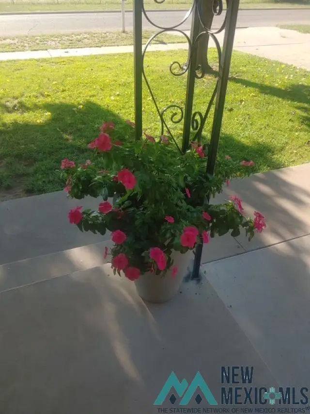 306 S James Street, Carlsbad, NM 88220 - #2