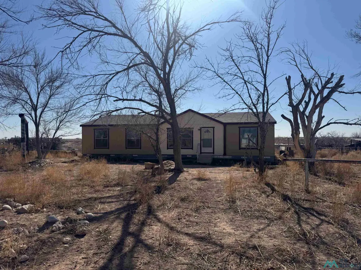 185 E Blevins Road, Artesia, NM 88210 - #1