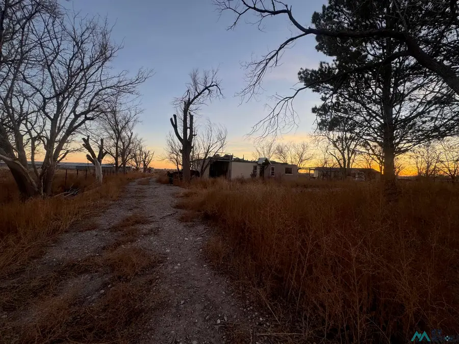 185 E Blevins Road, Artesia, NM 88210 - #3