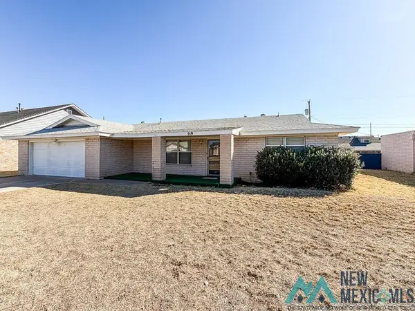 519 W Taos Avenue, Hobbs, NM 5
