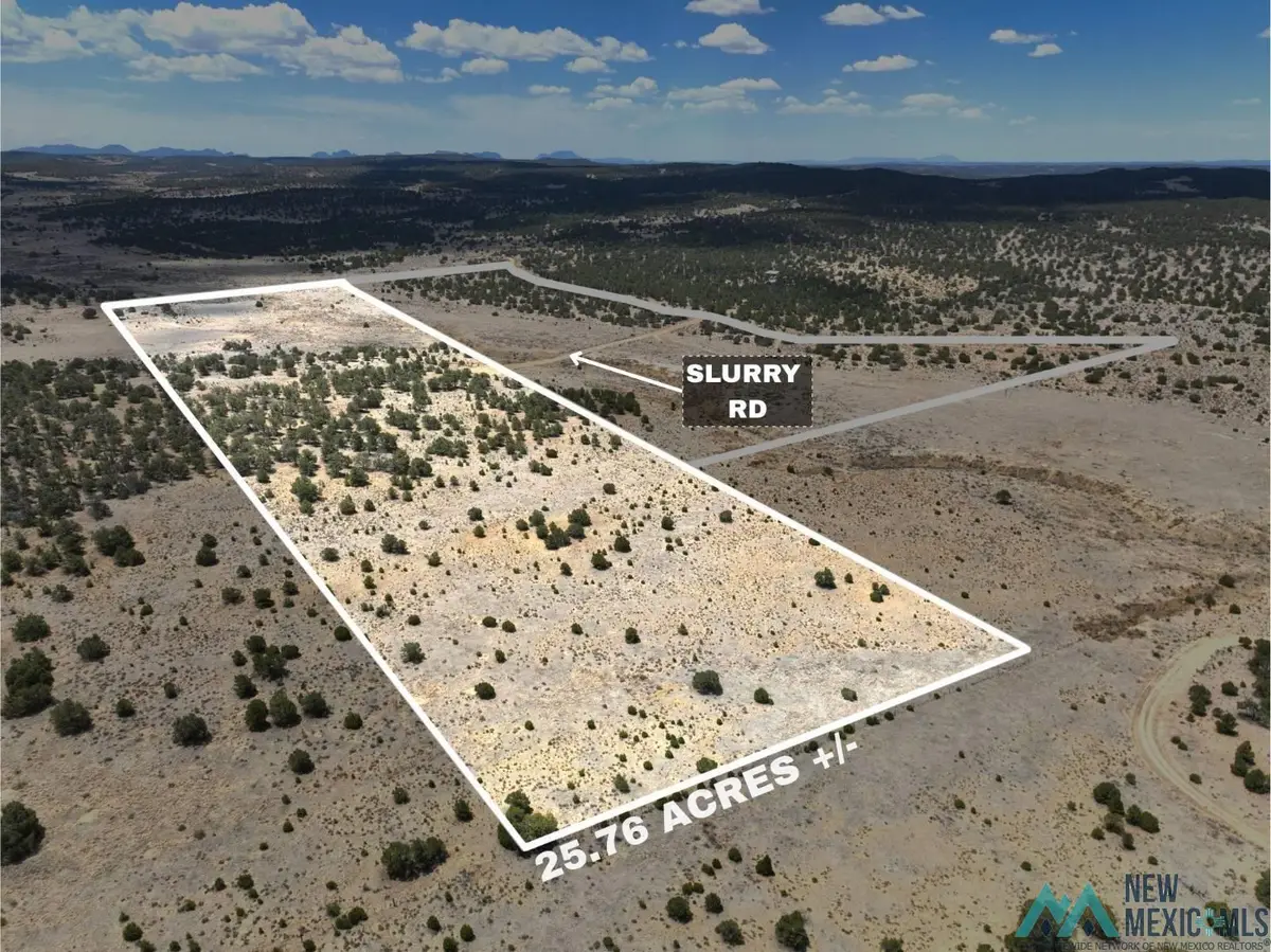 YY Slurry Road, Pie Town, NM 87827 - #1