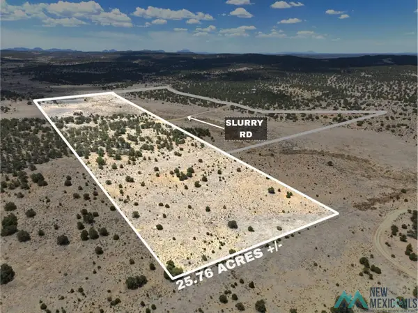 YY Slurry Road, Pie Town, NM 87827