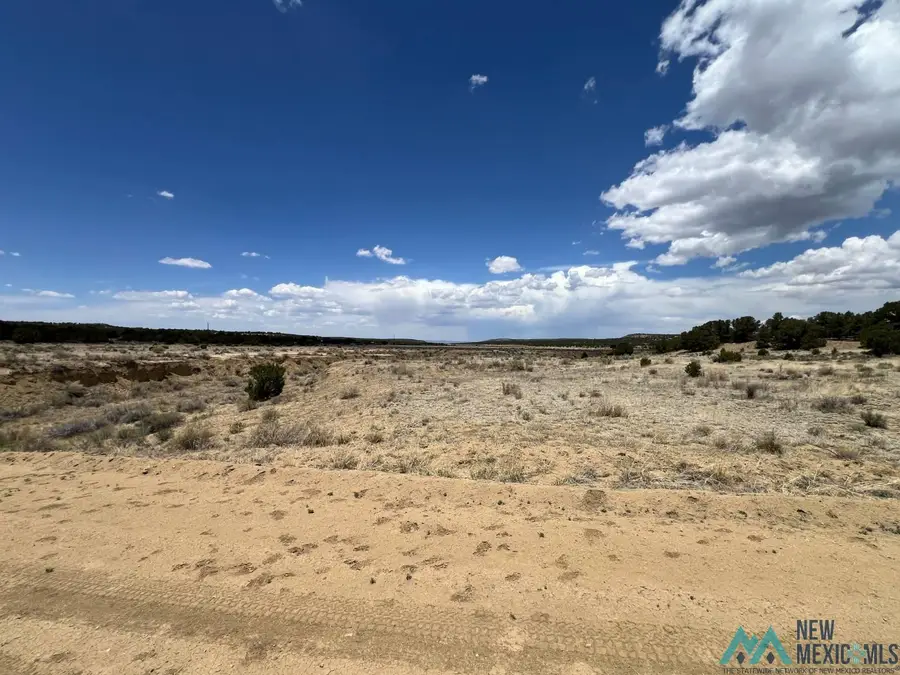 XX Slurry Road, Pie Town, NM 87827 - #3