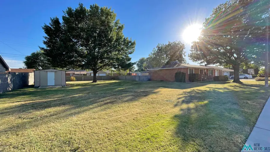 705 W Polk Avenue, Lovington, NM 88260 - #3