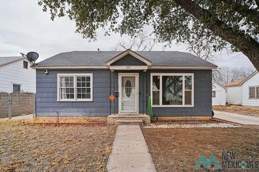 703 N Hickory Street, Carlsbad, NM 88220 - #3