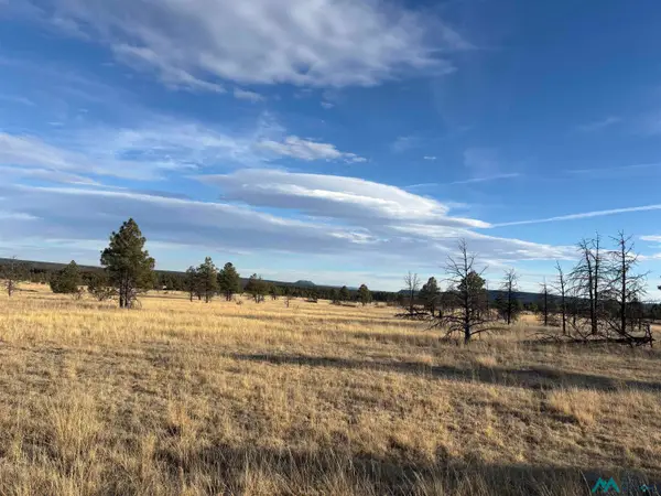 20 Acres Falls Creek Meadow County Rd A16c Road, Mineral Hill, NM 87701