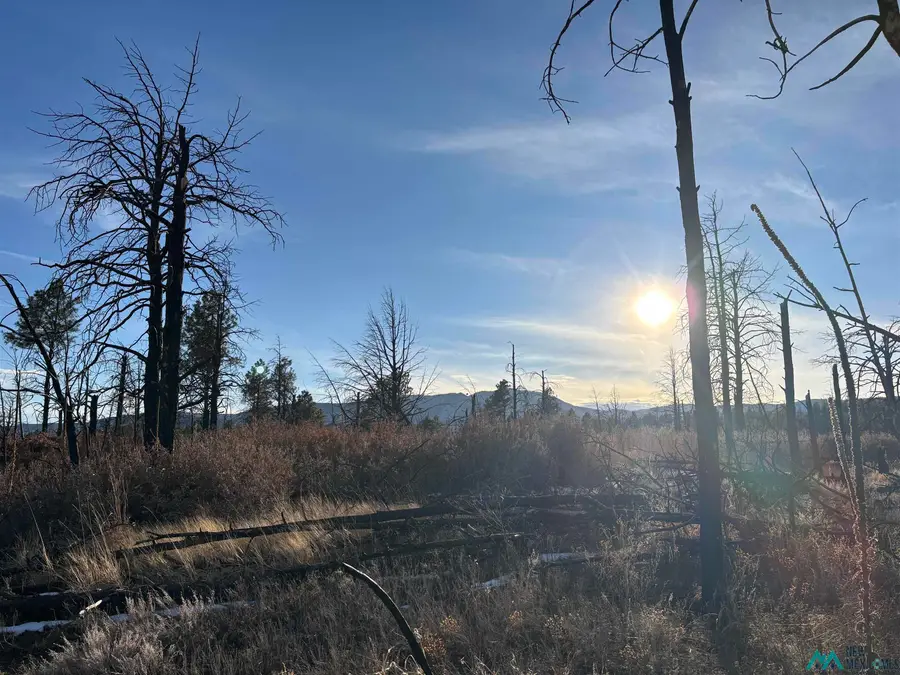 20 Acres Falls Creek Meadow County Rd A16c Road, Mineral Hill, NM 87701 - #2