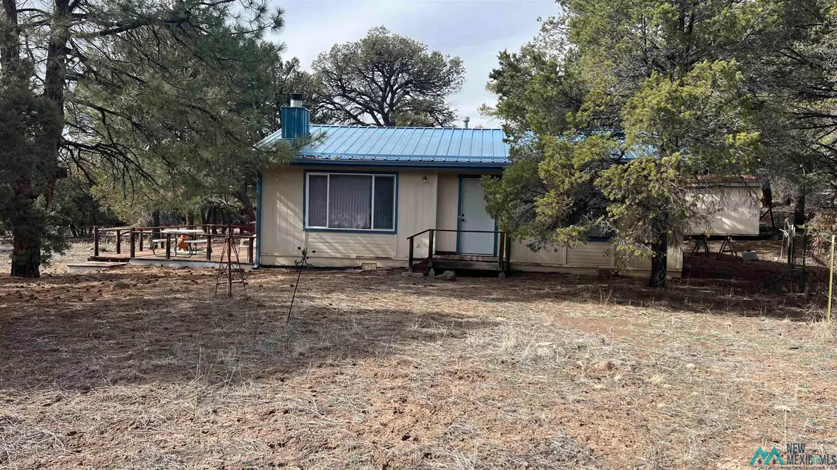 116 Sombra Del Gallo Circle Road, Quemado, NM 87829 - #1