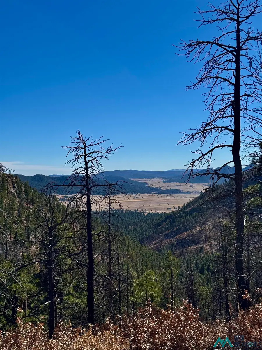 4.41 W Canyon Loop, Mora, Mora, NM 87732 - #3