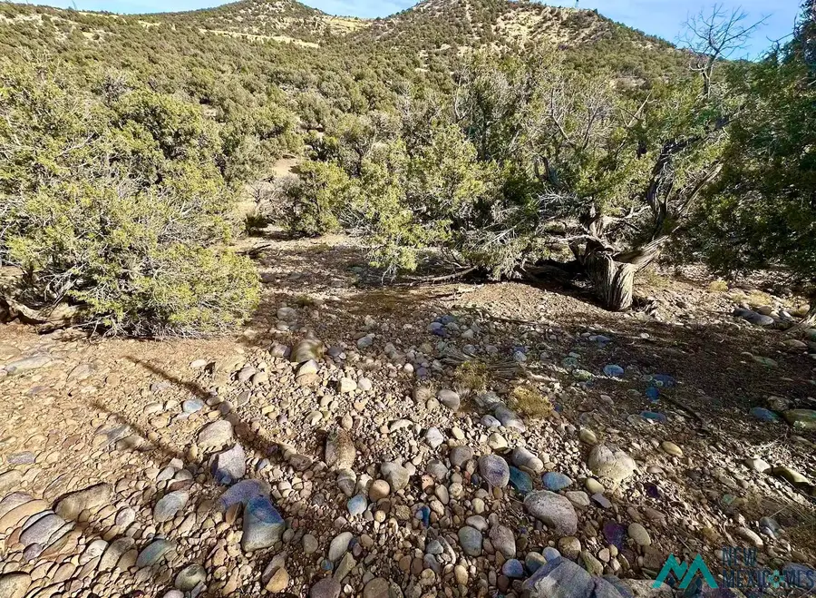 Cr 2550, Aztec, NM 87410 - #2