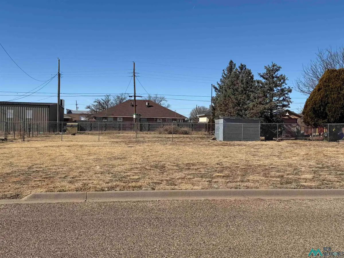 3306 Lilac Road, Clovis, NM 88101 - #1
