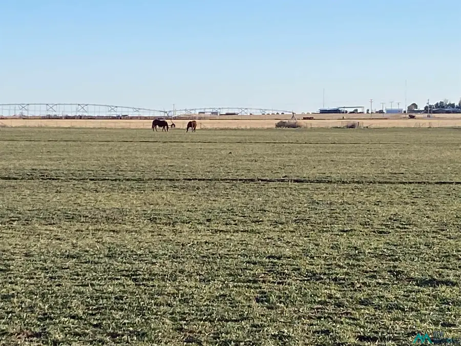 3410 E Rose Road, Hobbs, NM 88241 - #3