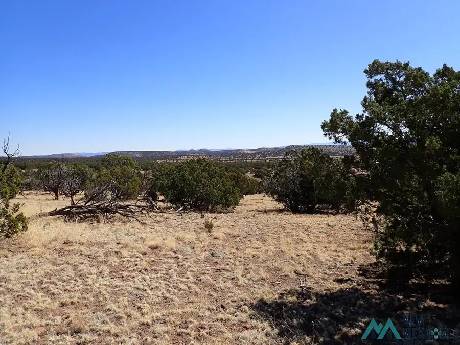 XX Tanglewood Circle, Datil, NM 87821 - #2