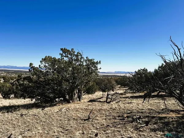 YY Tanglewood Circle, Datil, NM 87821