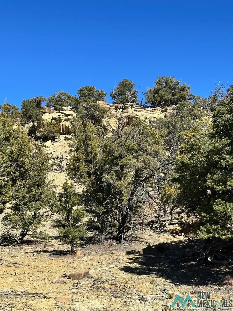 xx Double J Court, Pie Town, NM 87827 - #2