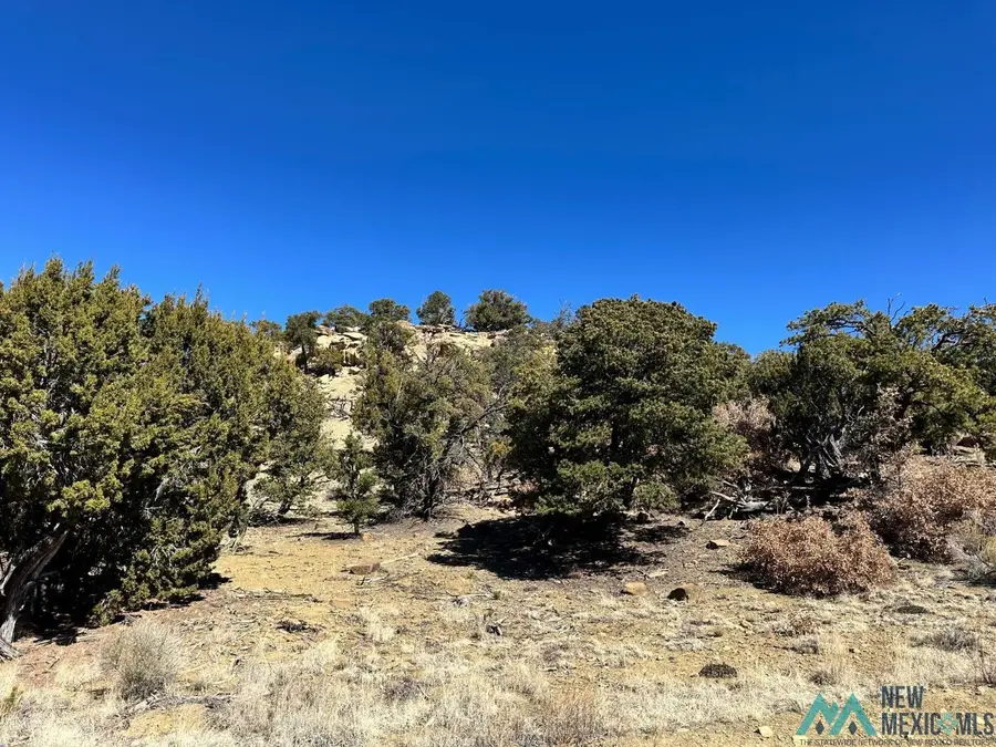 xx Double J Court, Pie Town, NM 87827 - #3