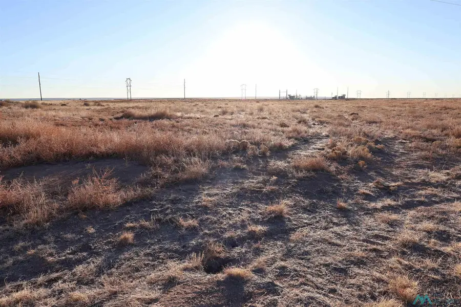 00 Wrangler Road, Roswell, NM 88201 - #2