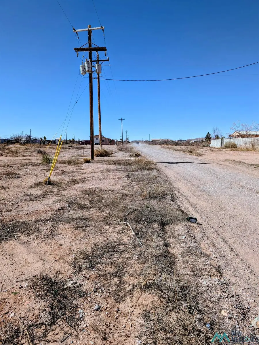 XXXX E Ross Ave Avenue, Columbus, NM 88029 - #3