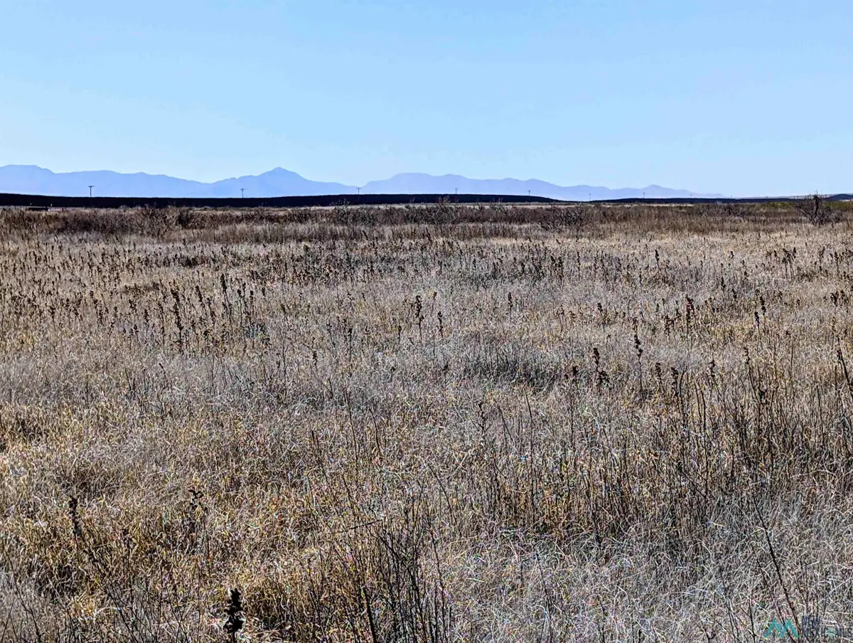 XXXX No Street, Columbus, NM 88029 - #1