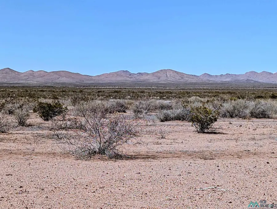 XXXX No Street, Columbus, NM 88029 - #2