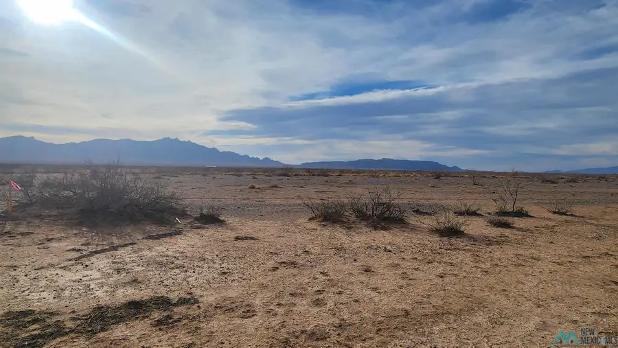 00 Tamarack Rd Se Road, Deming South, NM 5 - #2