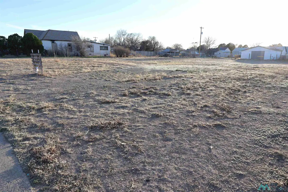1102 S Lea Avenue, Roswell, NM 88203 - #1