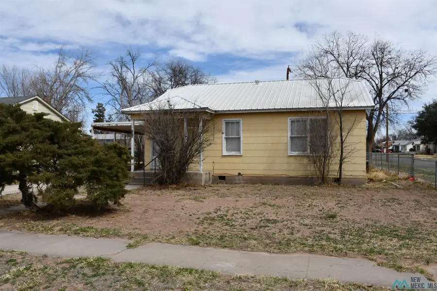 710 Pratt Street, Carlsbad, NM 88220 - #3