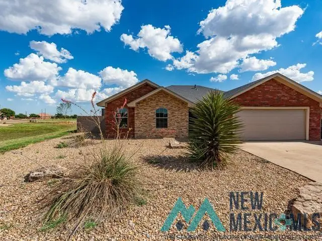 729 Almond Tree, Clovis, NM 5 - #1