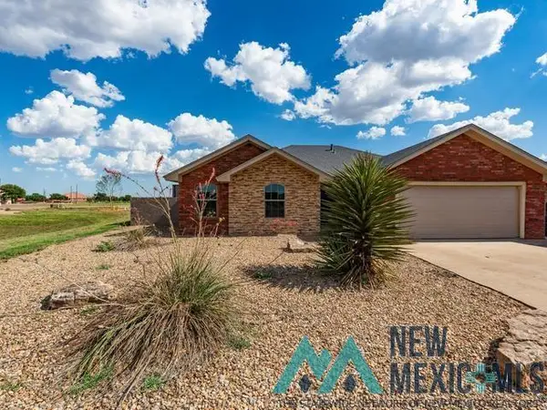 729 Almond Tree, Clovis, NM 5