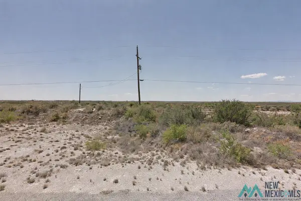 699 E Derrick Road, Carlsbad, NM 88220