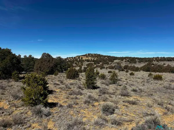 XX Wild Horse Ranch Road, Pie Town, NM 87827