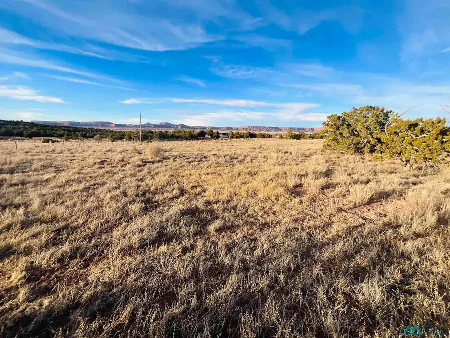 TBD Palomino Loop, Jamestown, NM 87347 - #3