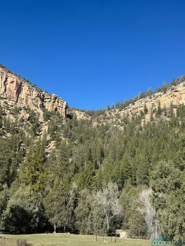 CR 352, Monero, NM 87520