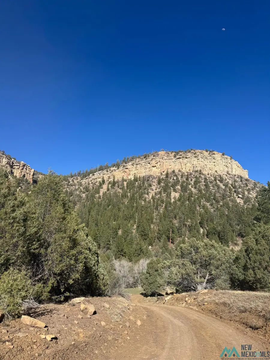 CR 352, Monero, NM 87520 - #2