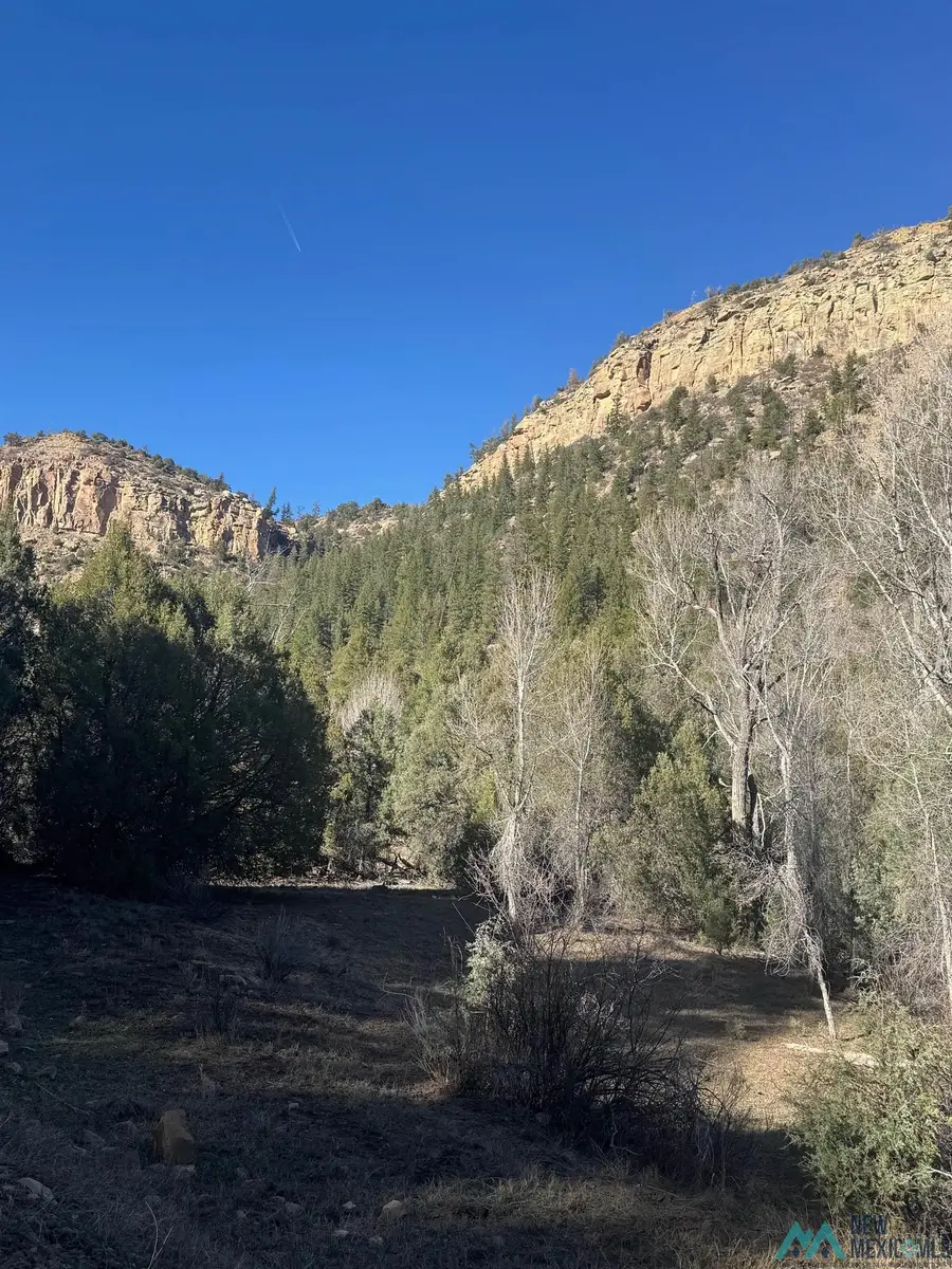 CR 352, Monero, NM 87520 - #3
