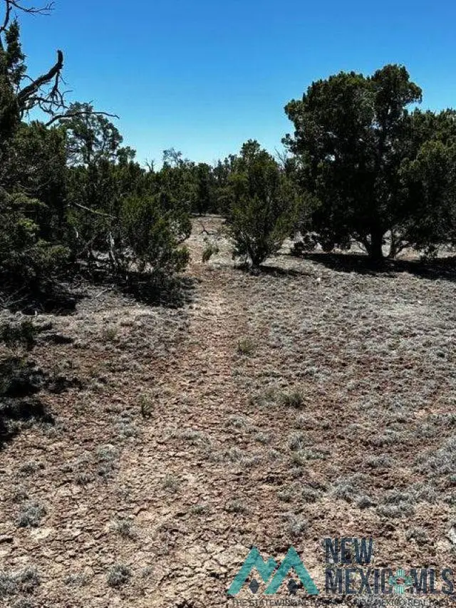 XX Tomahawak Trail, Quemado, NM 87829 - #3