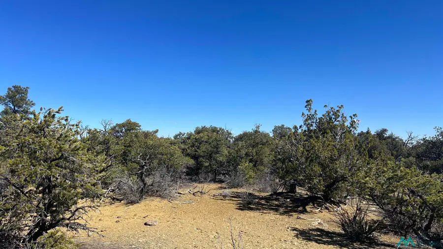 30 L-bar Rd Road, Pie Town, NM 87827 - #3