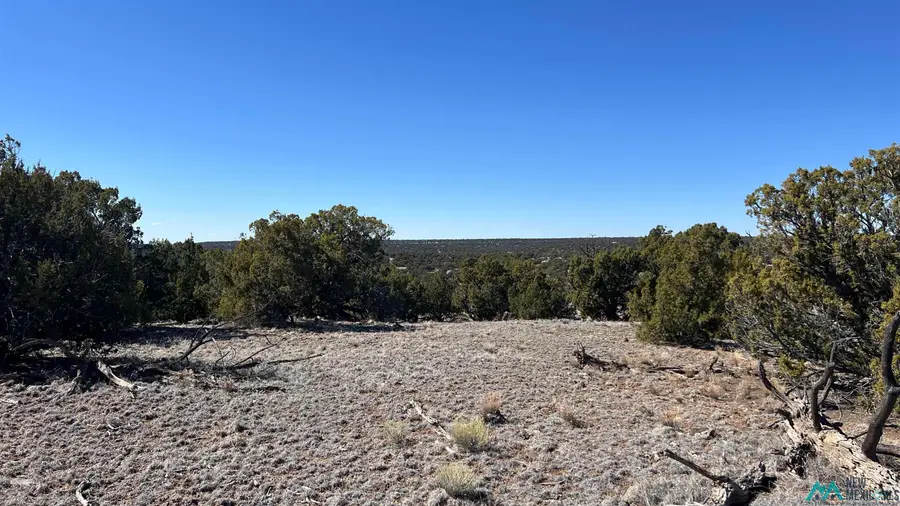 45 Pima Dr. Road, Quemado, NM 87829 - #3