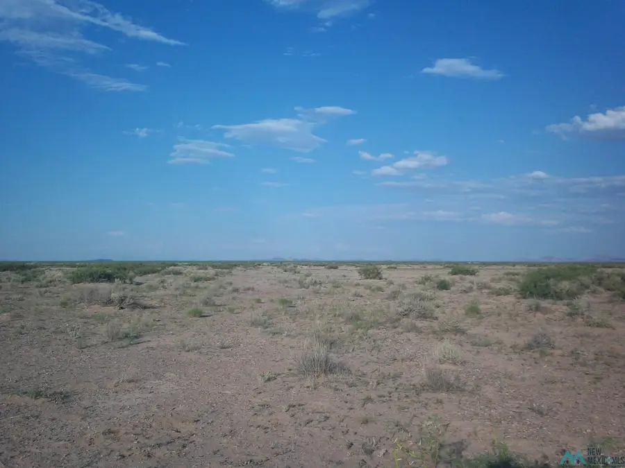 XXXX San Pablo Road Se Road, Deming, NM 88030 - #3
