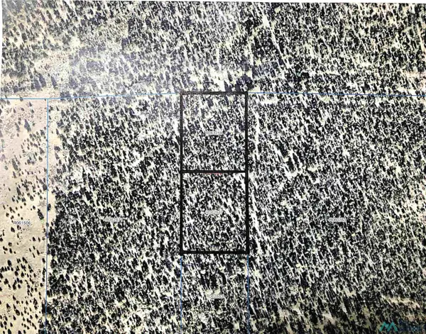 TBD Cousins Rd., Vanderwagen, NM 5